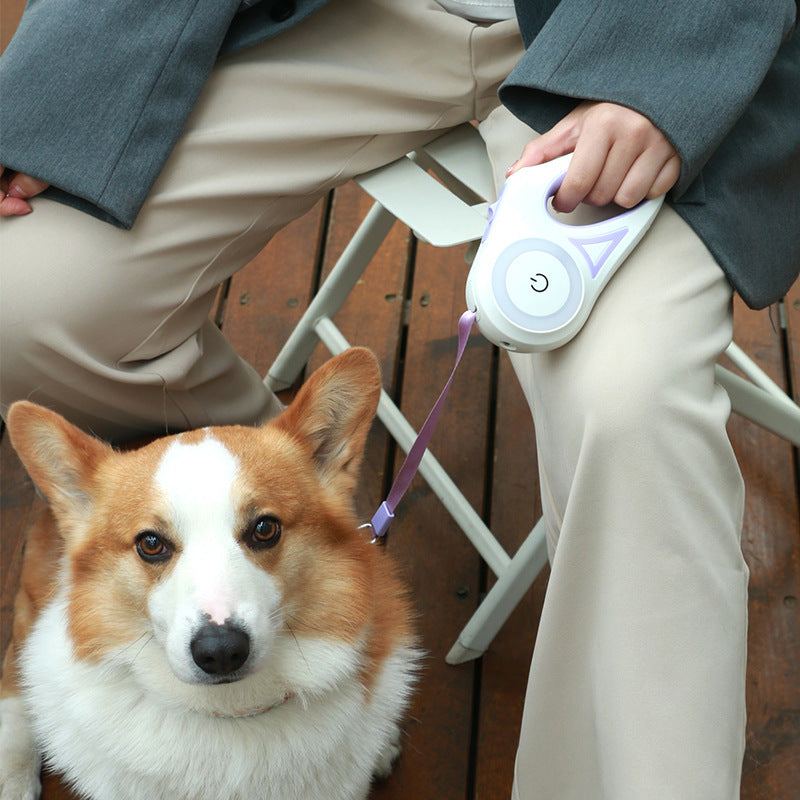 2-in-1 Retractable Leash & Luminous Collar – Freedom, Safety & Style