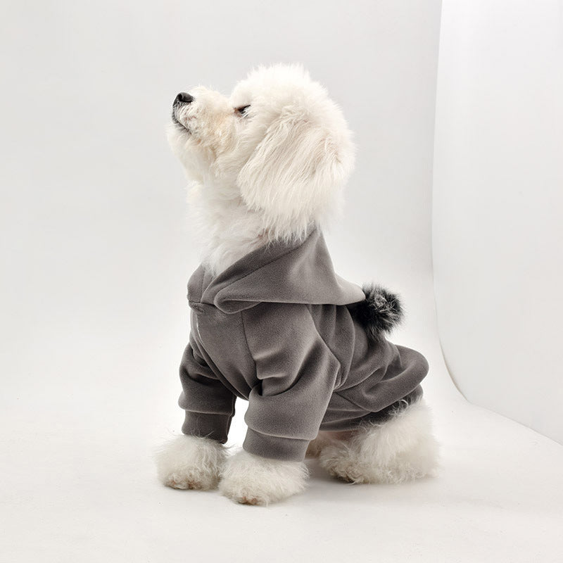 Stylish & Comfy Dog Apparel – Premium Clothes for Happy Pets