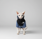 Hairless Cat Clothes Warm Pet Cat Clothes