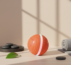 Smart Interactive Motion Ball – Automatic Rolling Dog Toy