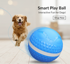 Smart Interactive Motion Ball – Automatic Rolling Dog Toy