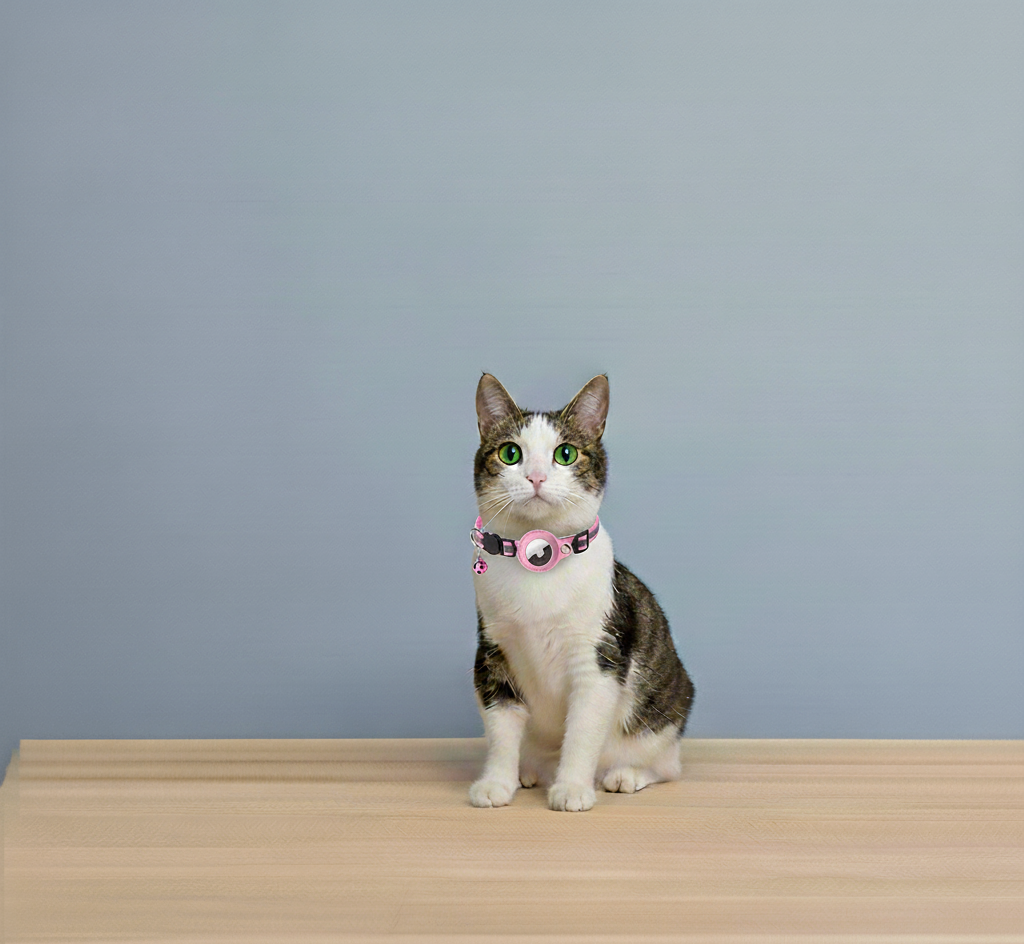 Reflective AirTag Collar – Safety, Comfort & Style