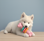 Durable Bone-Shaped Dog Chew Toy – Fun, Healthy & Safe