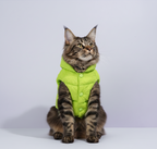CozyGuard™ Winter Vest – Warm & Anti-Lint Fit for Pets