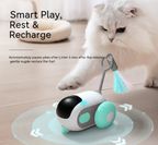 Crazy-Joy Cat Car – Endless Fun & Exercise for Your Feline Friend