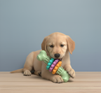 Durable Bone-Shaped Dog Chew Toy – Fun, Healthy & Safe